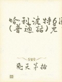 哈利波特6国语(普通话)免费观看封面