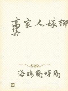 高家人嫁柳家1集