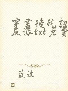 穿书后我认错了反派txt免费