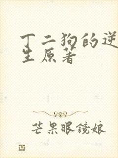 丁二狗的逆袭人生原著