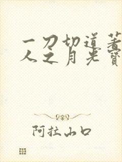 一刀切道著蛊真人之月光宝盒