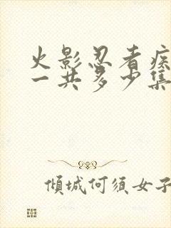 火影忍者疾风传一共多少集