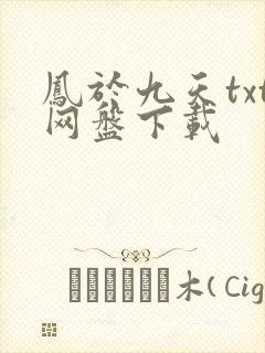 凤于九天txt网盘下载封面