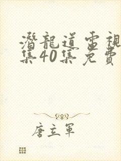 潜龙道电视剧全集40集免费播放