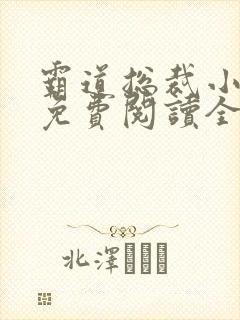 霸道总裁小娇妻免费阅读全文