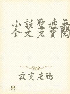 小说圣墟无弹窗全文免费阅读封面