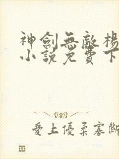 神剑无敌杨小天小说免费下载