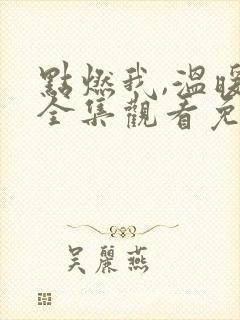 点燃我,温暖你全集观看免费