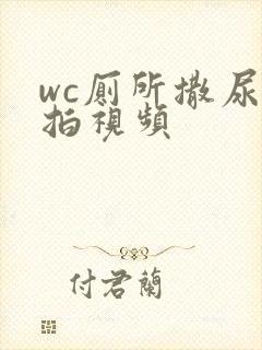 wc厕所撒尿偷拍视频