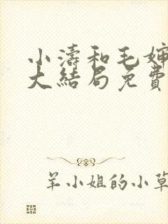 小涛和毛婶小说大结局免费阅读全文封面
