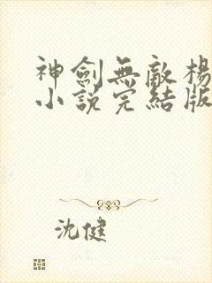 神剑无敌杨小天小说完结版