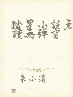 踏星小说免费阅读无弹窗封面