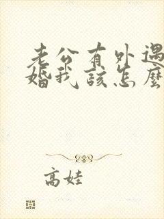 老公有外遇要离婚我该怎么办封面