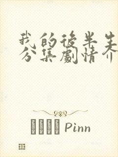 我的后半生剧情分集剧情介绍封面