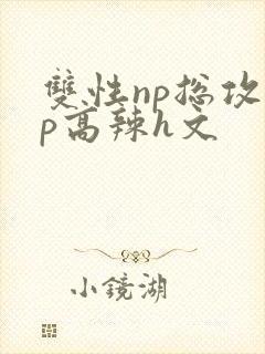 双性np总攻np高辣h文