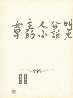 女主人公叫乔如星的小说免费阅读