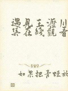 遇见王沥川40集在线观看