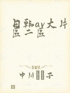日韩av大片一区二区封面