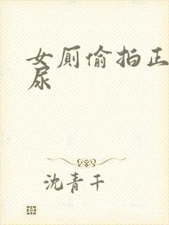 女厕偷拍正面尿尿