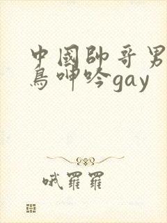 中国帅哥男同大鸟呻吟gay