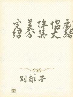 完美伴侣剧情介绍分集大结局