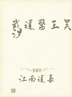 武道医王吴东云汐