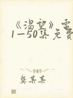 《渴望》电视剧1—50集免费播放