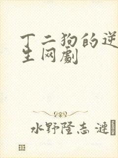 丁二狗的逆袭人生网剧