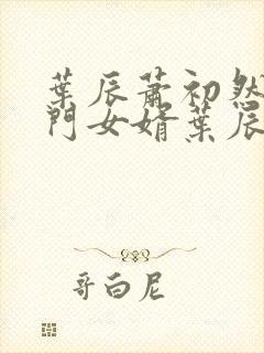 叶辰萧初然 上门女婿叶辰