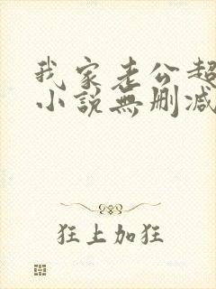 我家老公超宠哒小说无删减封面