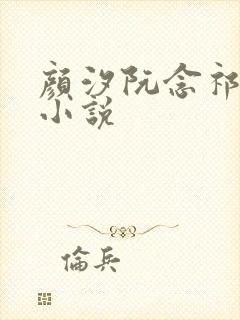 颜汐阮念祁纵的小说