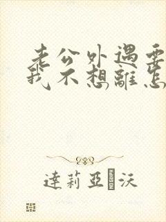 老公外遇要离婚我不想离怎么办封面