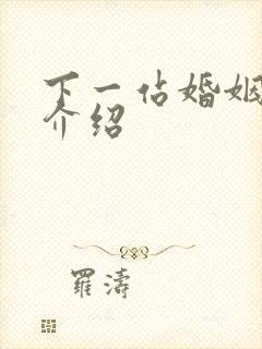 下一站婚姻剧情介绍