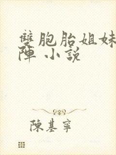 双胞胎姐妹齐上阵 小说封面