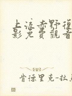 上流赤野复仇电影免费观看中文版