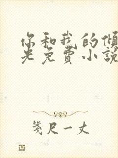 你和我的倾城时光免费小说