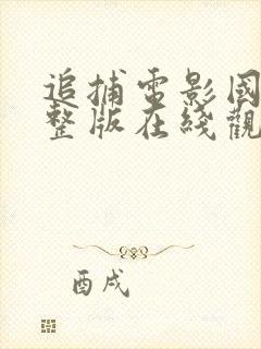 追捕电影国语完整版在线观看免费