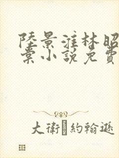 陆景淮林昭沈千棠小说免费阅读最新章节