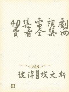 40集电视剧免费看全集向风