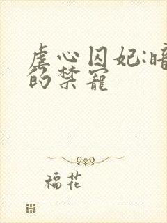 虐心囚妃:暗帝的禁宠封面