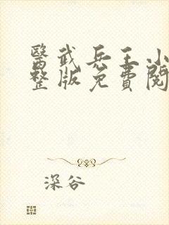 医武兵王小说完整版免费阅读全文