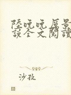 陆晚晚厉景琛小说全文阅读