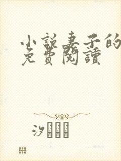 小说妻子的日记免费阅读