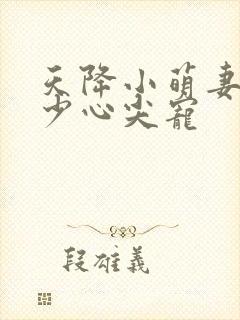 天降小萌妻,军少心尖宠