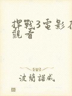 捍战3电影在线观看封面