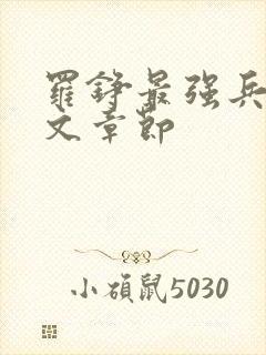 罗铮最强兵王全文章节