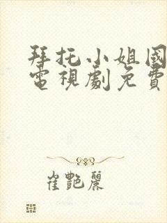 拜托小姐国语版电视剧免费观看