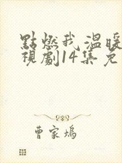 点燃我温暖你电视剧14集免费观看封面