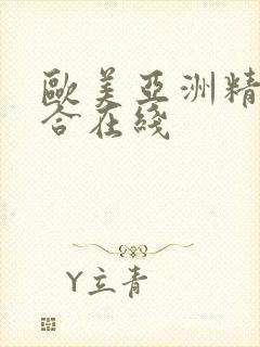 欧美亚洲精品综合在线