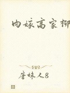 肉嫁高家柳家1